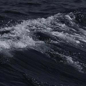 邱淑芬在厨房被躁到高潮
